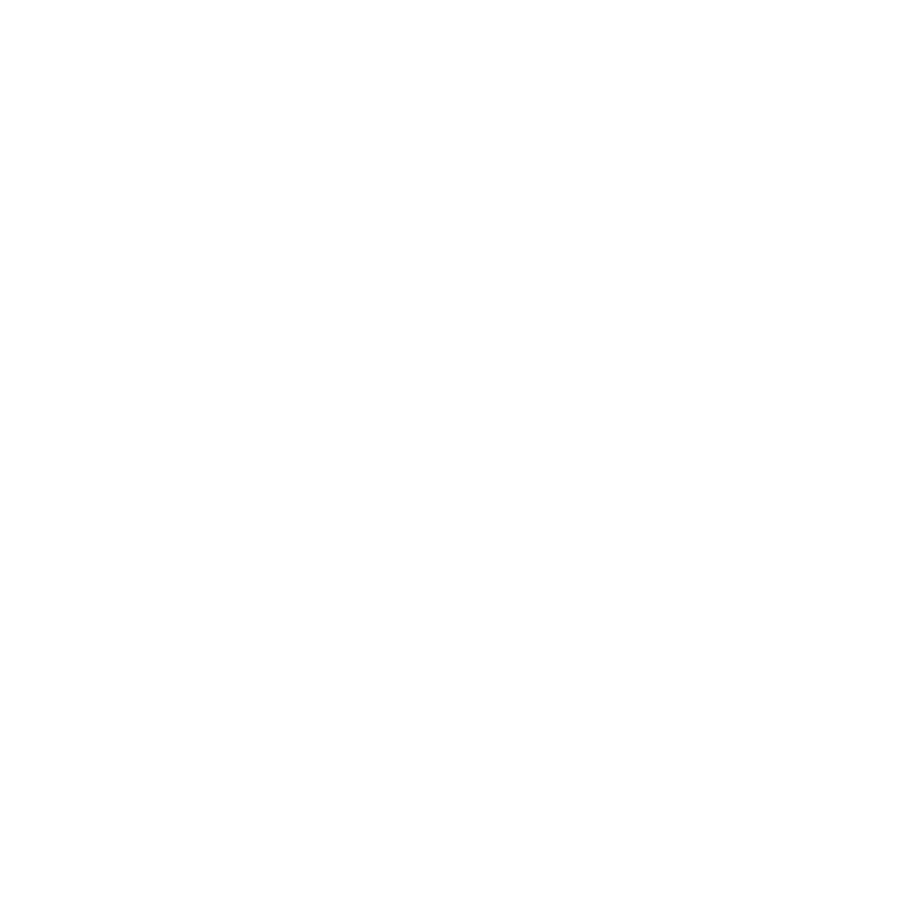 Vivoka.png